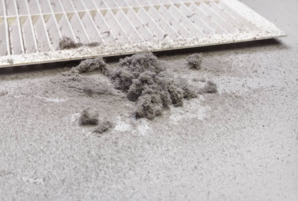 Best HVAC Duct Inspection Services  in Ashford, AL