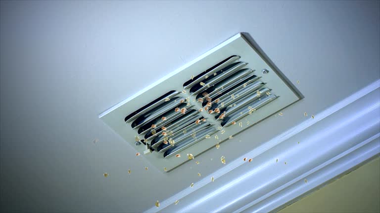 Best Affordable Air Duct Cleaning  in Ashford, AL